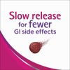 Slow Fe Slow Release Iron Supplement - 30 Tablets, Pack of 4