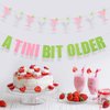 A Tini Bit Older Banner, Martini Themed Party Decorations Weenies and Tinis A Tini Bit Older Birthday Decor Tiny Bit Older Party Decor Martini Bachelorette Bridal Shower Party Supplies