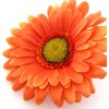 4 inch Variegated Orange Gerbera Daisy Silk Flower Hair Clip