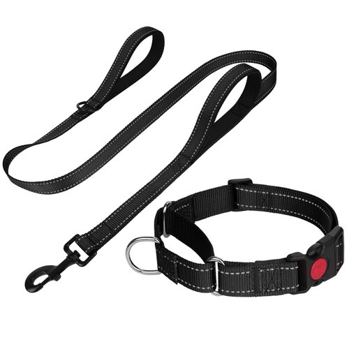 FunTags Reflective Martingale Collar for Dogs, Quick Release Buckle, 5FT Double Handle Dog Leash Padded, Dog Collar and Leash Set, Adjustable for Large Dogs (Black, L)