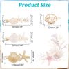 PH PandaHall 4 Styles Starfish Shell Hair Clip Beach Alligator Hair Clips Starfish Barrettes Dainty Sea Theme Clips for Halloween Mermaid Decor Beach Travel Wedding Supplies