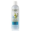 SEASATIONALS Aphrodite Olive Oil Hydrate & Repair Shampoo, 16 fl oz, Color-Safe