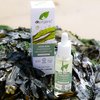 Dr Organic Ageless Overnight Recovery Oil with Organic Seaweed, Moisturising, Fine Lines, Wrinkles, Natural, Vegan, Cruelty-Free, Paraben & SLS-Free, Recycled& Recyclable, Certified Organic, 30ml