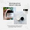 Context Restorative Night Cream for Face Neck | Vitamin C facial Cream | Anti-Aging Moisturizer Wrinkle Cream | Firming & Skin Care | Collagen & Elastin Formula | Evens Tone Removes Fine Lines