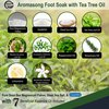 Aromasong Tea Tree Foot Soak Treatment with 7 Essential Oils - OptiMSM - Eucalyptus Oil with Dead Sea Salt 14 OZ.