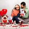 Sumind Valentine Bear Plush Stuffed Animals Gift 10 Inch Cute Plush Animals Heart Holding Soft Plush Toy for Valentine's Day, Mother's Day, Wedding, Anniversary, Birthday (White Bear)