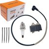 IGCLINIC PB500T Ignition Coil Kit and Spark Plug A411001620 A411000420 For Echo Shindaiwa EB600RT PB580H PB580T PB500 PB500H Blower