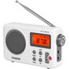 ZHIWHIS Portable Radio, AM FM Shortwave Digital Tuner with Best Reception, Battery Operated Clock Radios with Sleep Timer and Preset Function, Stereo Receiver with Alarm Clock for Home ZWS-8801