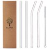 ALINK Clear Glass Straws, 9 in X 10 mm Reusable Straight & Bent Smoothie Straws, Set of 4 with Cleaning Brush