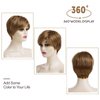 Dsimeig Short Wigs for White Women Blonde Highlights Synthetic Hair Wig Layered Halloween Cosplay Wig,Brown