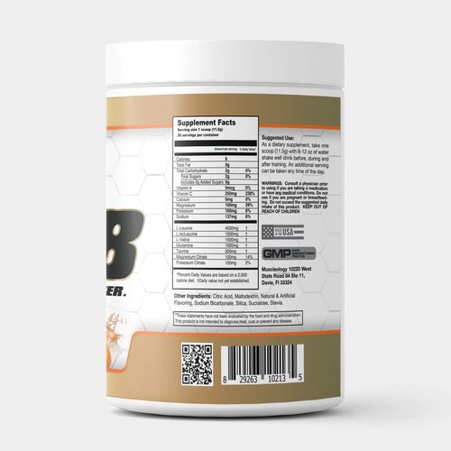 MUSCLEOLOGY - High Performance Super 8 BCAA + Electrolyte & Glutamine Formula - Post Workout Recovery and Muscle Building Supplement (Orange)