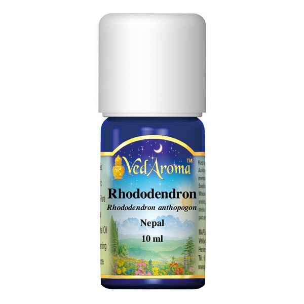 VedAroma Rhododendron Wild Harvested Therapeutic Grade Essential Oil 10 ml