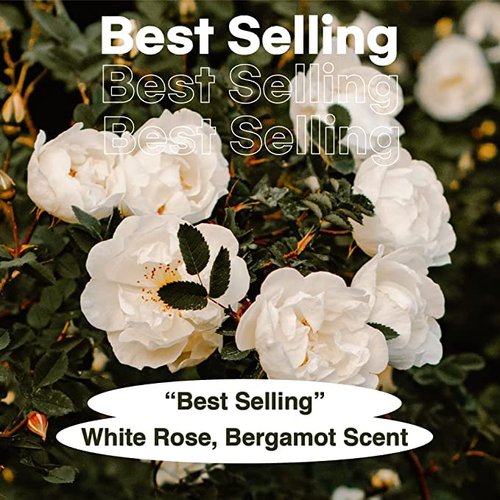 skybottle Daily Moisturizing Hand Cream Perfumed with White Rose, Lilac, Bergamot Scent, Fast Absorbing and Hydrating Lotion with Shea Butter, for Dry Hand, for Women & Men, 1.7 Fl. Oz