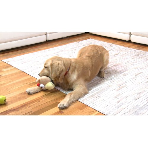 Gazoos Interactive Dog Toy - Modo Dodo