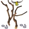 kathson Natural Parrot Perch Bird Stand Pole Wild Grape Stick Paw Grinding Fork Parakeet Climbing Standing Branches Toy Chewable Cage Accessories for Small Budgies Cockatiels Lovebirds 2PCS