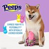 Peeps for Pets Plush Chick Rope Pull Toy for Dogs Squeaker Dog Toy, Pink/Purple | Adorable and Cute Dog Chew Toy | Squeaky Dog Toy to Add to Dog Toy Bin 6 Inch