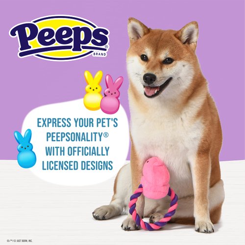 Peeps for Pets Plush Chick Rope Pull Toy for Dogs Squeaker Dog Toy, Pink/Purple | Adorable and Cute Dog Chew Toy | Squeaky Dog Toy to Add to Dog Toy Bin 6 Inch