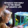 Tetra Bubbling LED Aquarium Kit 1 Gallon, Hexagon Shape, With Color-Changing Light Disc,Green (Packaging may vary) , 1 gallon (7.5 x 7.5 x 7.7")