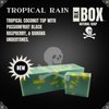 Black Box USA MADE 5oz Men's Natural Bar Soap Made from Natural Oils - Handmade Cold Process, No Harsh Chemicals, Tropical Earthy Coconut Raspberry & More (TROPICAL RAIN)