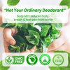 Body Mint Original | Chlorophyll Deodorizing Supplement for Full Body Freshness | Aluminum-Free Plant-Based Internal Deodorant | Fresh Underarms, Breath, Body & Feet | 50 tabs