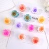 Flower Hair Clips for Women Flower Claw Clips, 12Pcs Medium Flower Clips Non-slip Flower Hair Claws, Cute Clips for Hair Hawaiian Flower Hair Clips Hair Accessories for Women Girls