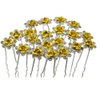 Nestarfactory Rose U-sharped Design Collection Metal Hair Pins Pack of 20 (Golden)