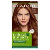 Clairol Natural Instincts Demi-Permanent Hair Dye, 6R Light Auburn Hair Color, Pack of 1