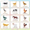 Baegzgx 12 Piece Miniature Farm Animal Toy Set, Realistic Plastic Animal Figures for Kids, Birthday Cake Toppers, Easter Egg Stuffers