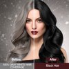 RILSIC Black Hair Dye Shampoo 3 IN 1, Herbal Natrual Hair Dye Shampoo Instant Hair Color Shampoo for Women Men - Grey Hair Coverage- Long Lasting-Black Hair Dye Coloring in Minutes(500ML) (Black)