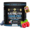 HRDWRK Electrolytes Powder with Magnesium, Potassium - Sugar Free Electrolytes Boost Endurance and Reduce Fatigue with This Electrolytes Supplement - Maximum Hydration - Keto Friendly
