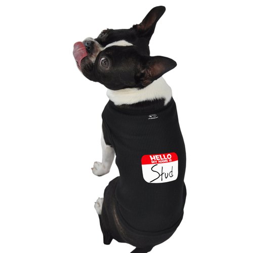 Ruff Ruff and Meow Dog Tank Top, Hello My Name is Stud, Black, Medium