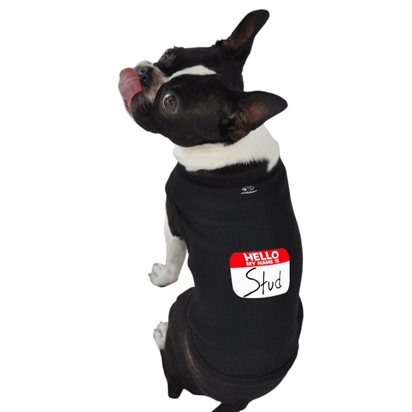 Ruff Ruff and Meow Dog Tank Top, Hello My Name is Stud, Black, Medium
