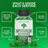 Supergreens Gummies - Daily Green Superfoods Supplement with Spinach, Broccoli, Moringa, Beet Root, Celery, Green Tea, & Acai for Immunity Support - Natural Raspberry Flavor, 60 Supergreen Gummies
