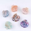 Fantasy Sea Shell Hair Clip,Acetate Hair Clip,Small Claw Clip for Women,Multicolored, 1 Count (Pack of 1)