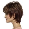 MIUXIU Ladies Brown Short Fluffy Layered Nature Side Part Wigs Blonde Short Straight Wigs for Women Hair Heat Resistant Full Wigs Short Layer bangs Hair (Brown)