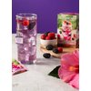 Bigelow Botanicals Cold Water Infusion Blackberry Raspberry Hibiscus Tea Bags 18 Count Box (Pack of 1), Herbal Infusion, Caffeine Free, 18 Tea Bags Total