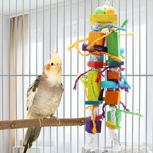 Wontee Bird Toys Parrot Chewing Toys Wood Blocks Tearing Toys for Parakeet Cockatiel Sun Conure African Grey Indian Ringnecks Small and Medium Sized Birds (Medium)