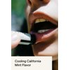 SALT & STONE California Mint Lip Balm (1 Pack) | Natural, Moisturizing, Hydrating Long Lasting Lip Balm for Women & Men | Restores Dry Cracked Lips | Cruelty-Free, Gluten-Free | Made in USA