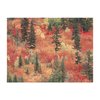 Leanin' Tree, The Pacific Northwest, Blank Cards and Envelopes, Blank Greeting Cards, Stationary Set, Blank Note Cards, (20 Blank Cards, 22 Envelopes)