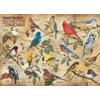 Cobble Hill 1000 Piece Puzzle - Popular Backyard Wild Birds of North America - Sample Poster Included