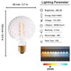 Vintage LED Edison Bulb G30 4W Dimmable LED Filament Bulb Globe Pineapple Shaped Light Bulb 2300K Warm White E26 400LM Equivalent 40W Incandescent (Clear)