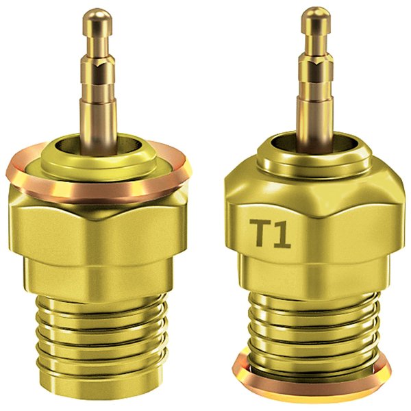 2Pcs Vgoohobby Glow Plug Gold-Plated Universal T2 Hot Spark 70117 Nitro Engine Parts Compatible with 1/8 1/10 Traxxas Himoto Kyosho HSP HPI Redcat RC Car Truck