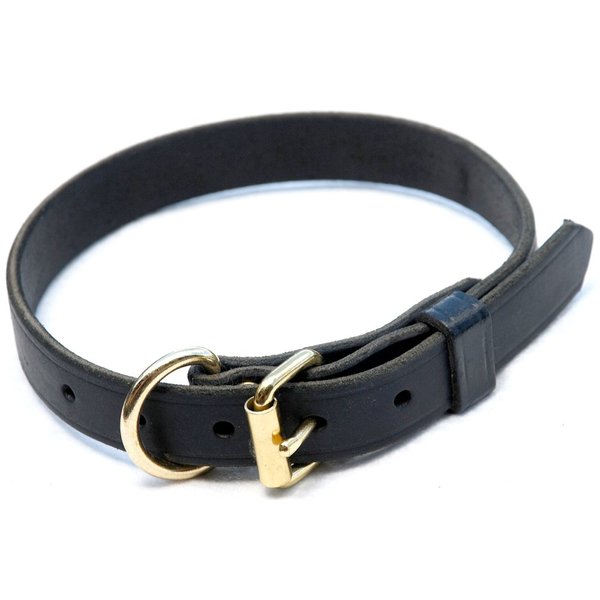 Ray Allen Mfg Signature K9 Adjustable Leather Collar, 18-22-Inch, Black