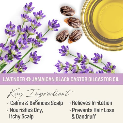 Herbal Collection Jamaican Black Castor Oil (Lavender) 4oz | Calming & Nourishing Oil for Hair, Skin & Scalp | Promotes Hair Growth, Hydrates & Soothes Irritation | Paraben-Free & Cruelty-Free