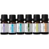 Pure Essential Oil Works Top 6 Aromatherapy Oil Kit, 100% Pure Therapeutic Grade Essential Oils - Lavender, Peppermint, Eucalyptus, Tea Tree, Lemongrass and Sweet Orange - 10ml