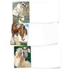 The Best Card Company - 10 Mixed Set Horse Note Cards Blank (4 x 5.12 Inch) - Wildlife, Animal Assorted Boxed Bulk Pack - Horses | Magnificent Manes M4601OCB-B1x10