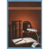 Opto-Light LED Desk Lamp