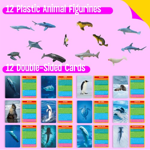 12 PCS Plastic Marine Animal Figurines with 12 Introduction Flashcards, Ocean Animals Learning Recognition Cards Realistic Undersea Animal Figures Educational Learning Toy Set for Kids, Classroom