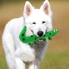 Pet Latex Toys Lizard Dog Toys Squeaky Snake Dog Toy Small Dog Toys Interactive Dog Toys Pet Molar Toys Fetch Dog Toy Lizards Squeaky Toys for Small Dogs Animal Plush Toy