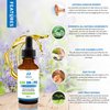 Natrulo Natural Ear Drops for Ear Infection - Homeopathic, Herbal Eardrops for Adults, Children & Pets - for Ear Aches, Swimmer's Ear, Loosen Wax - Kids Safe Ear Oil, Made in USA